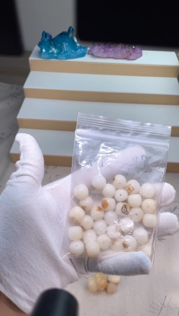 手串菩提根/象牙果菩提根手串