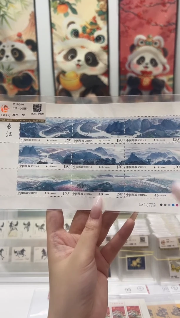 长江 大版 破价福利