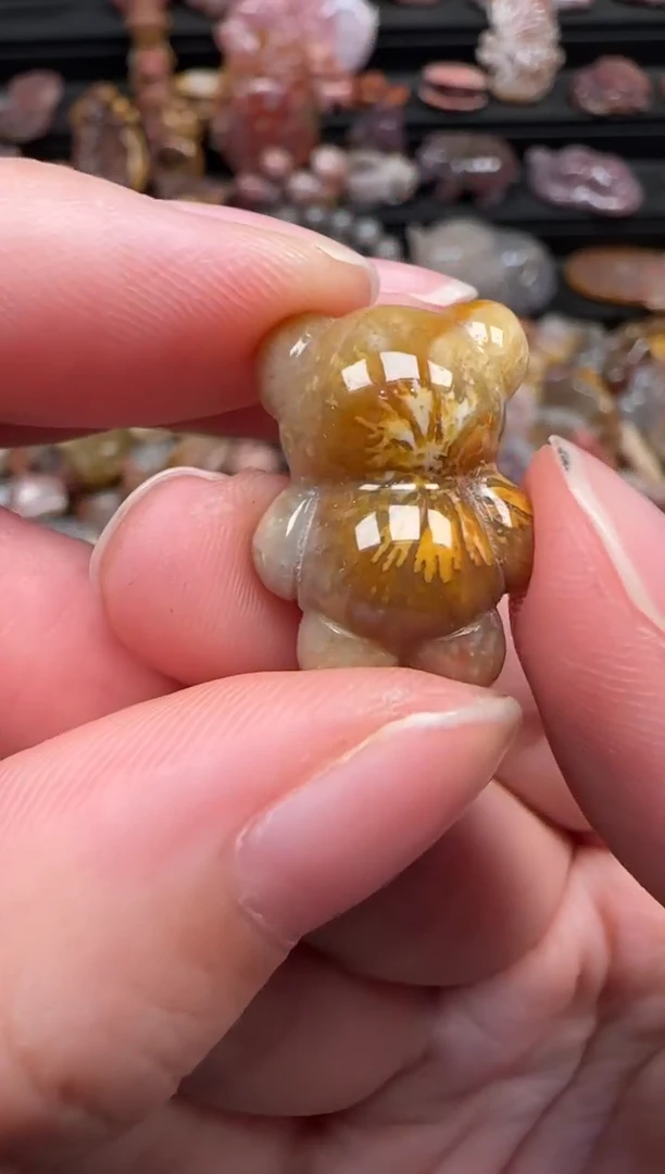 颈饰未镶嵌硅化珊瑚（珊瑚玉）768