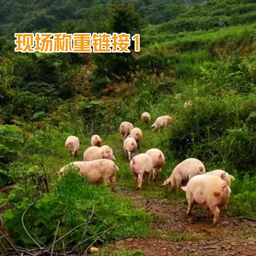 【直播间现场称重1】农家熟食土猪肉3斤起（重量以直播间为准）火锅食材