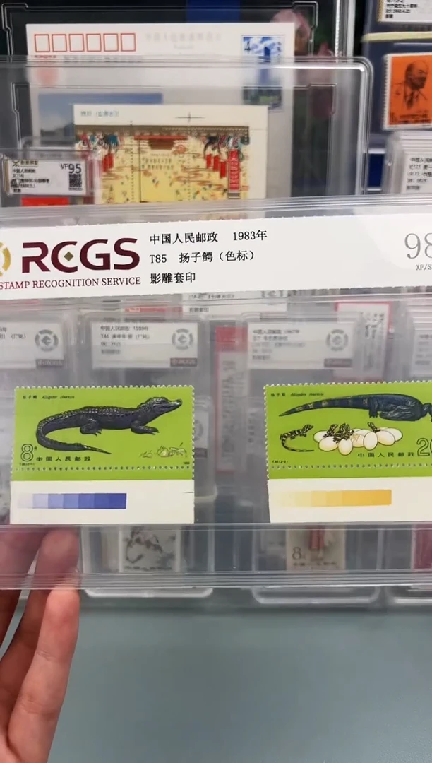 T85带色标一套片装福利