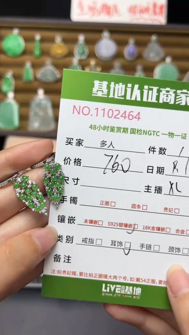银S925镶嵌翡翠耳饰多人