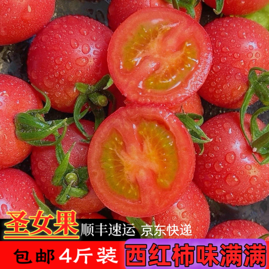 圣女果 现摘现发 4斤装 顺丰 京东包邮
