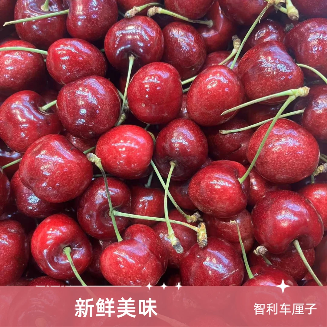 【吉林市同城配送】智利拉宾斯2J车厘子（一箱净果10斤）