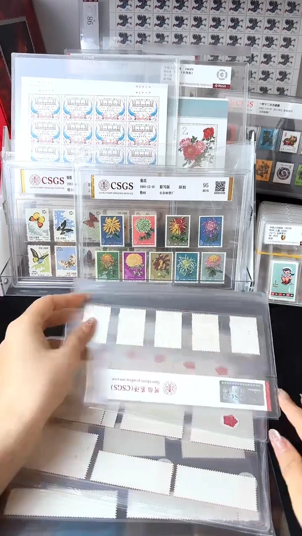 文4盖