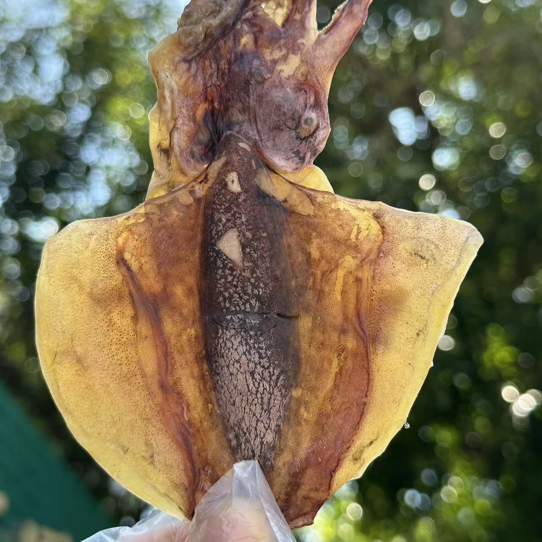 墨鱼干/木鱼干/淡晒野生海墨鱼/广东渔民天然淡晒 顺丰包邮