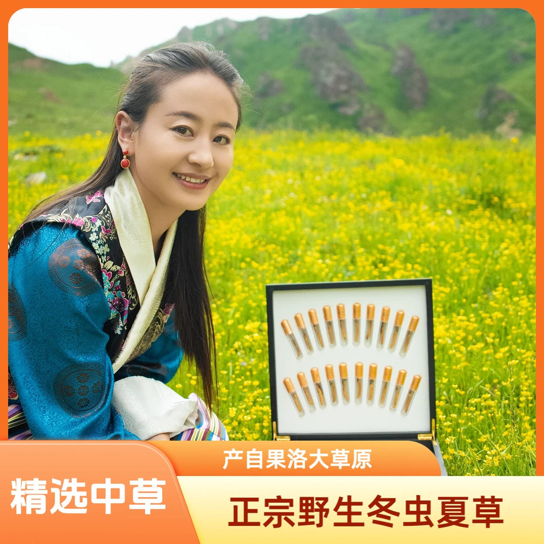 精选中草野生冬虫夏草