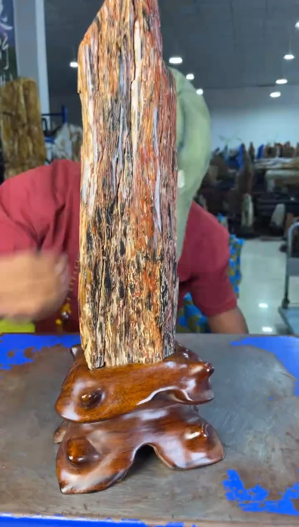 未镶嵌摆件硅化玉4