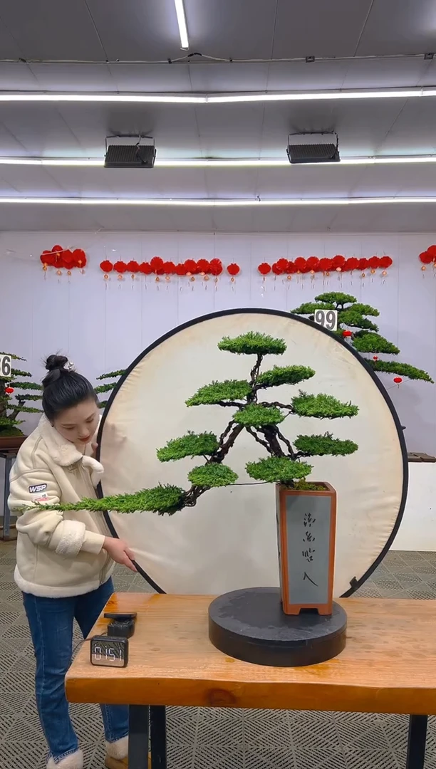 【闪购商品】盆景1