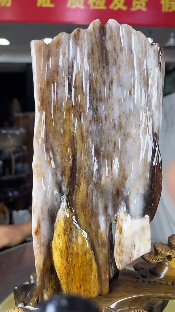 未镶嵌珠宝奇石硅化玉缅甸天然树化玉摆件