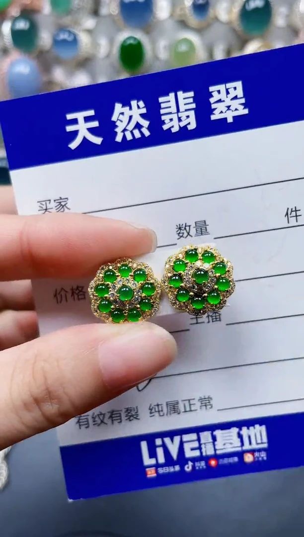 银S925镶嵌翡翠耳饰613