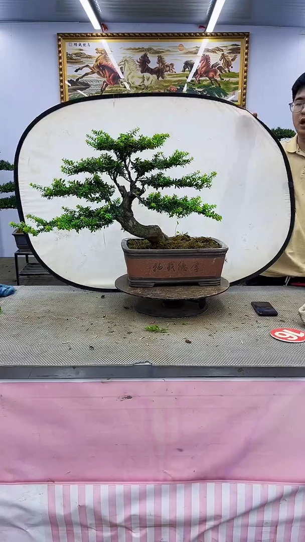 无花朵一物一拍，所见即所得