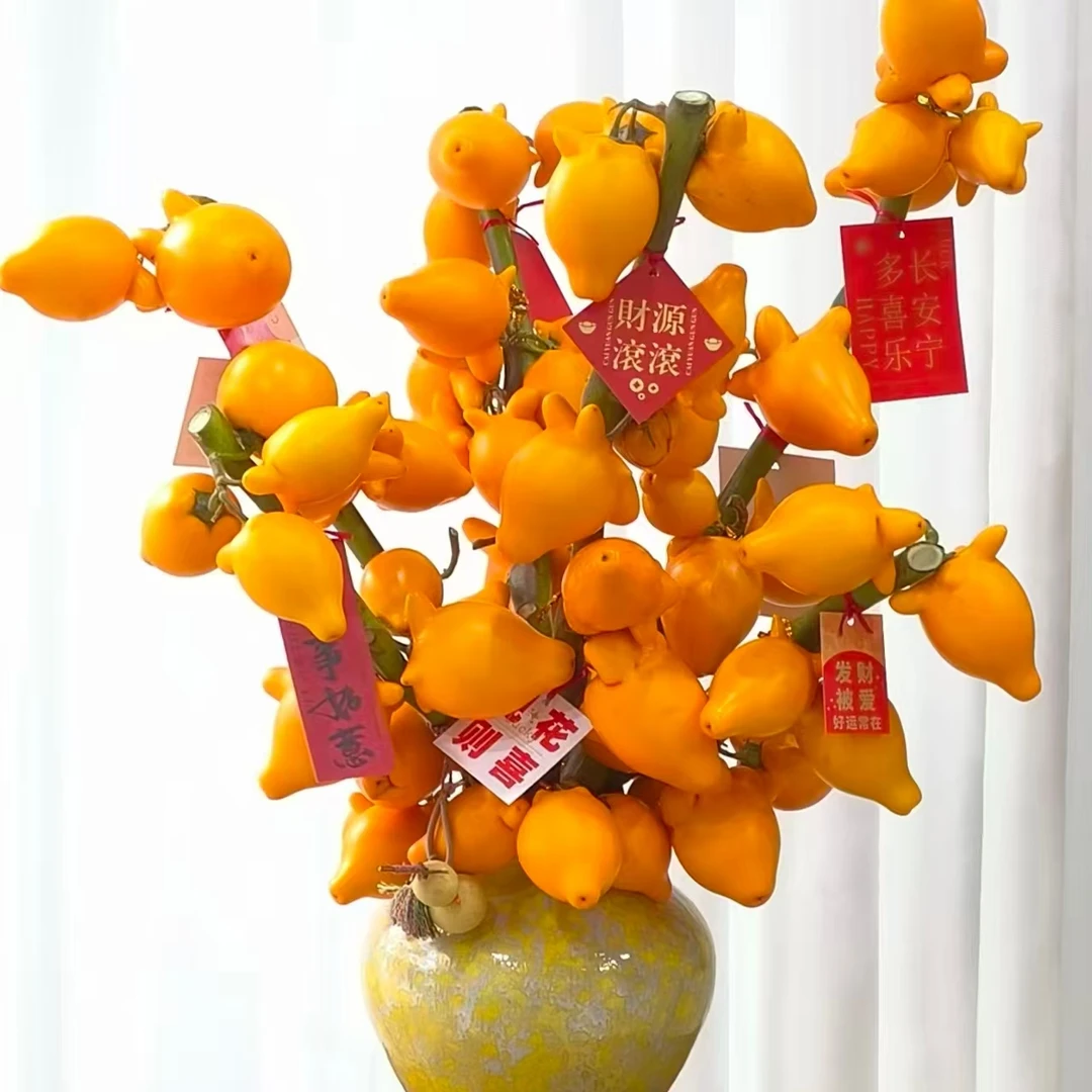 云南鲜花五代果小猪佩奇适合客厅摆放可做干花微掉果2枝2层果
