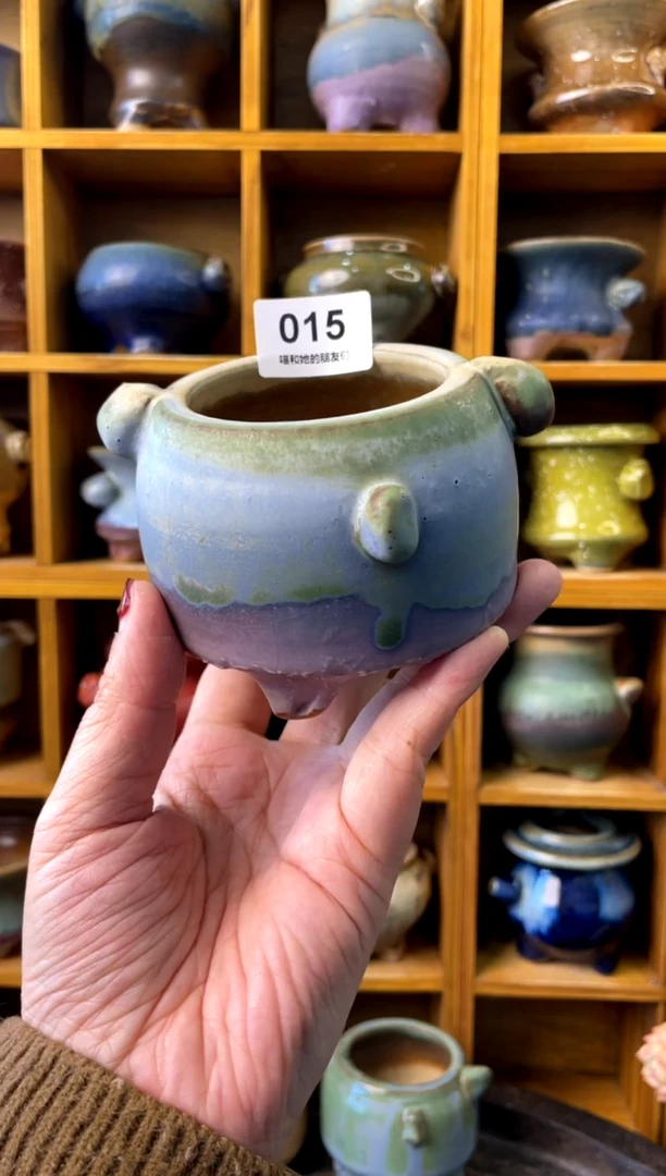 【闪购商品】陶微瑕015 内口6
