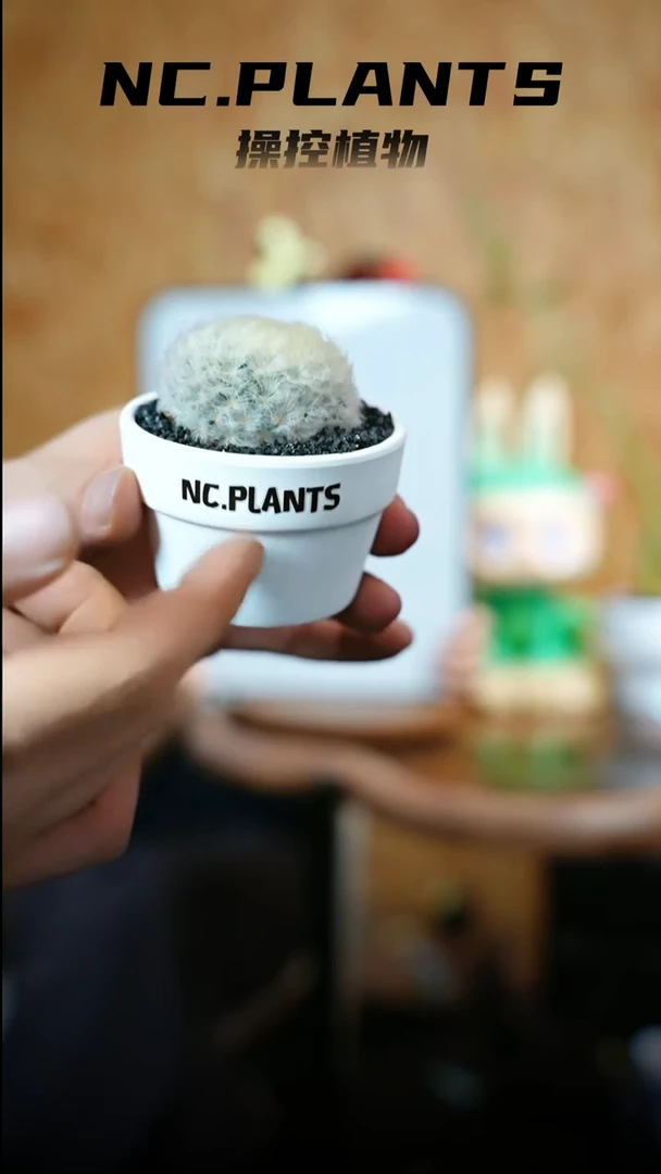 无花朵香草冰淇淋（615福利