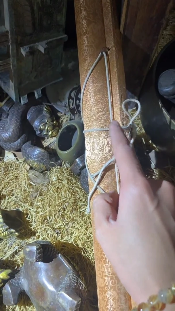 香榧木（1个黄画111）