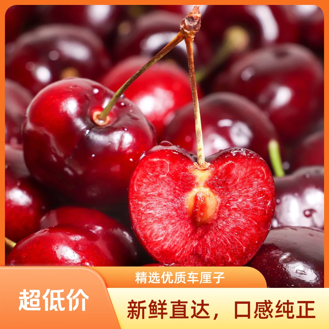 【周谷堆自营】subsole拉宾斯车厘子2J/3J净重5斤智利海运果大饱满一口沉醉果香四溢口感醇厚（12）