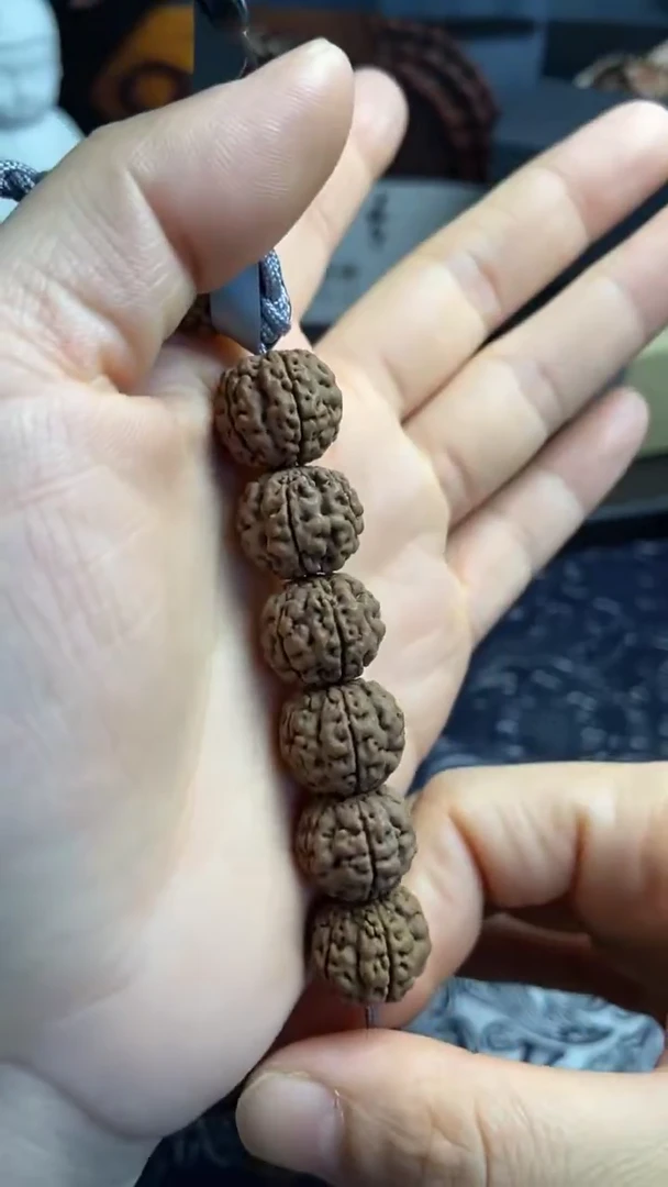 手串金刚菩提八龙15.4