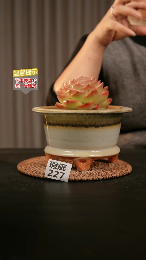 瓷片227瑕疵款，口约14  高约10