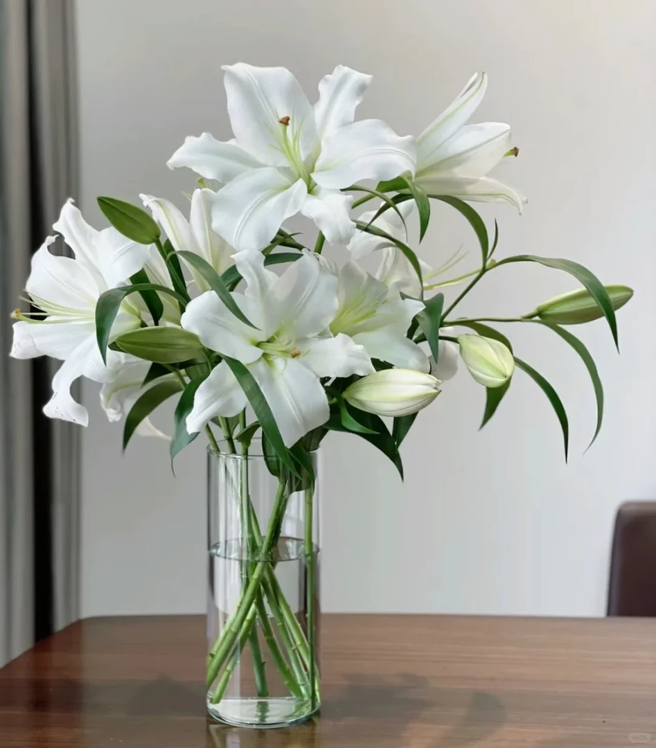 白百合10朵（3-5支生花苞发货）包邮【1单中通 2单顺丰京东】鲜花