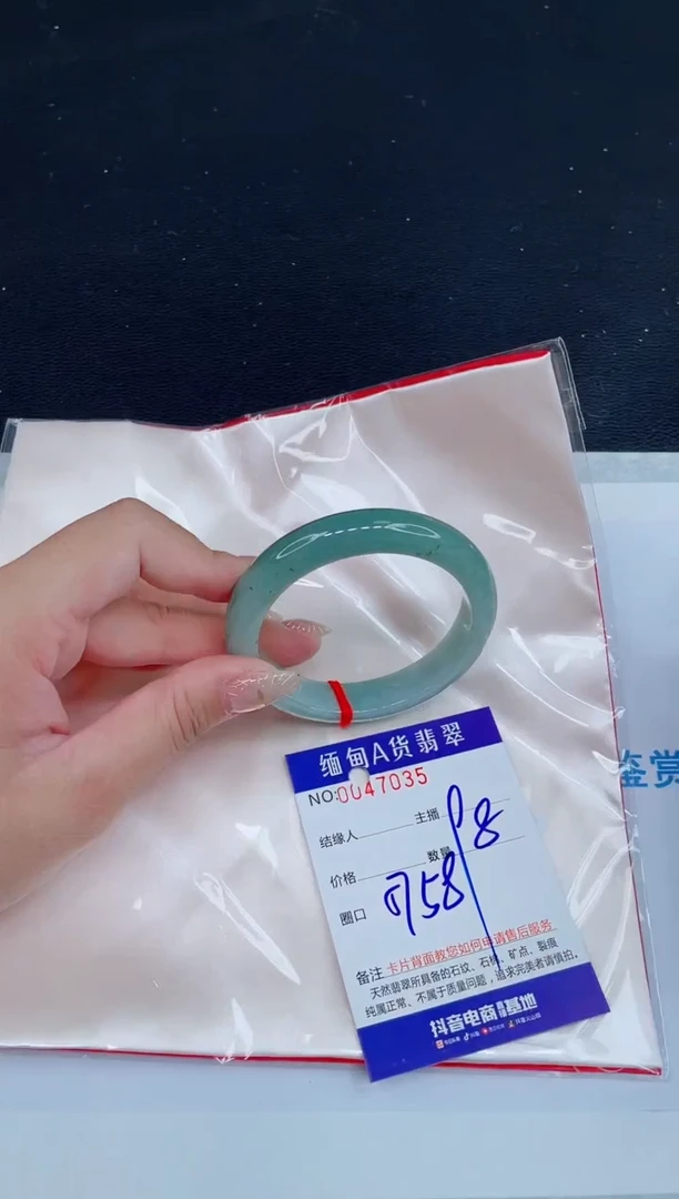 未镶嵌手镯翡翠0651914333