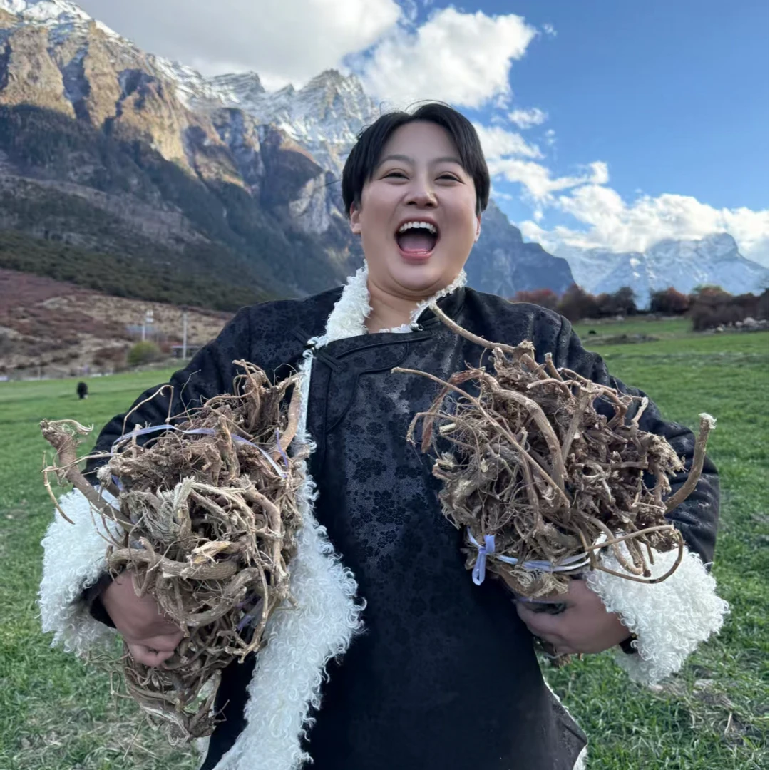 西藏雪山野生二十年老黄芪藏区特产