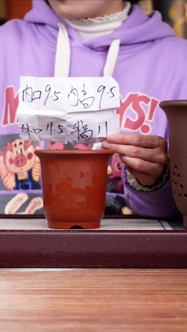 【闪购商品】紫砂花盆清水泥迷你小金钟一只无托