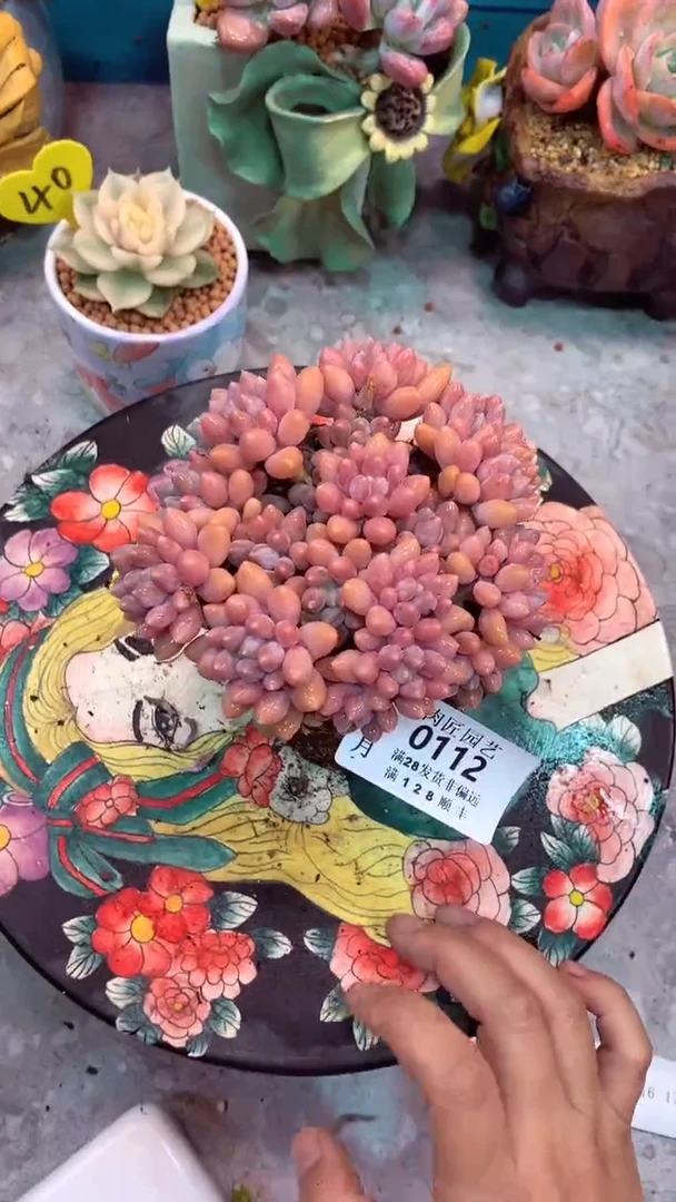 @****语0112一物一拍