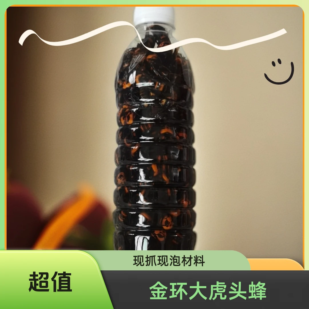 鲜活现泡，含原浆诱蜂水金环大虎头蜂，100只起拍