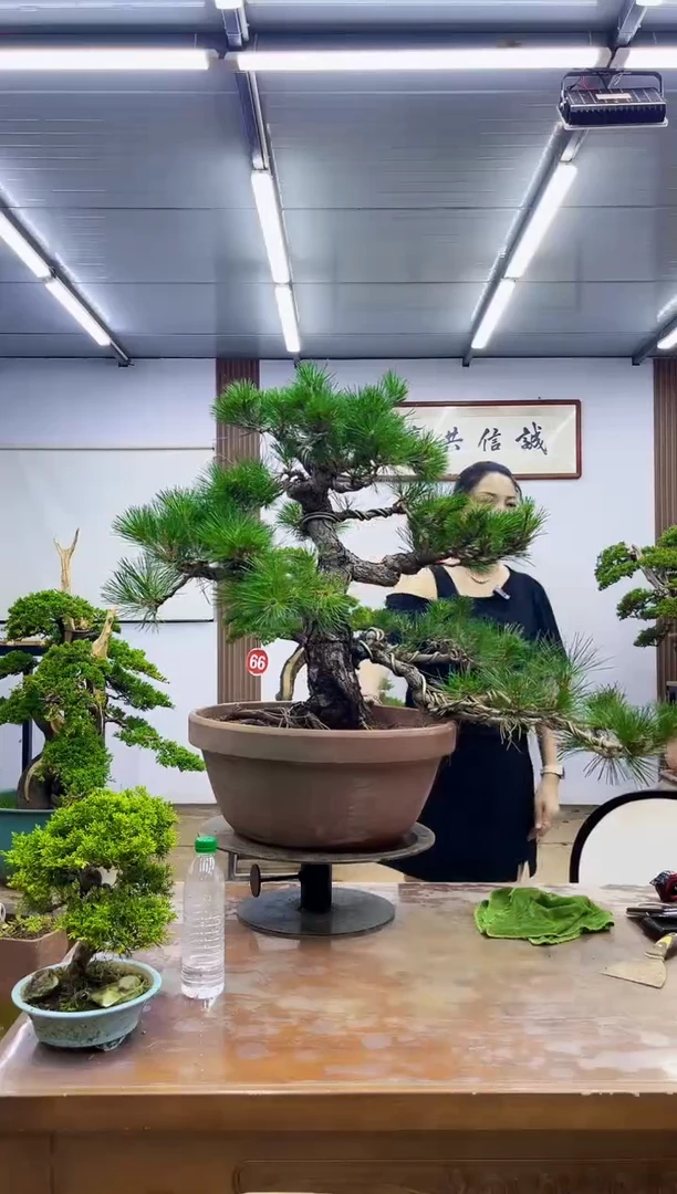 石**花00000000000000