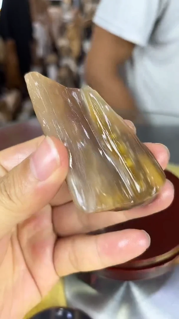 硅化玉珠宝奇石未镶嵌缅甸天然树化玉