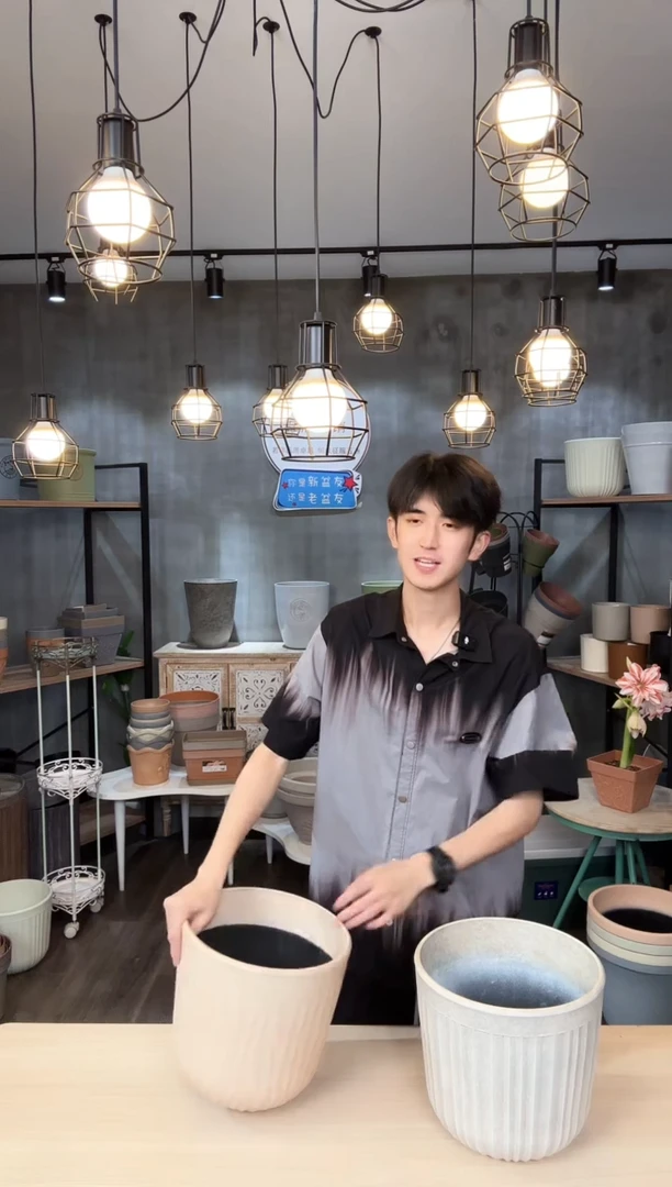 坦普盆画眉白2只装带托