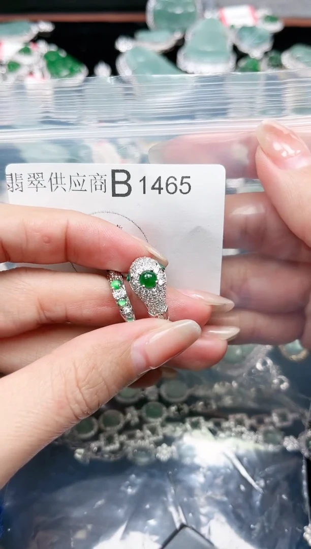 【闪购商品】翡翠颈饰未镶嵌赠皮绳1465
