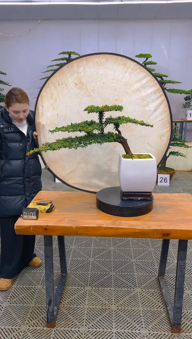 无花朵一物一拍一物一拍