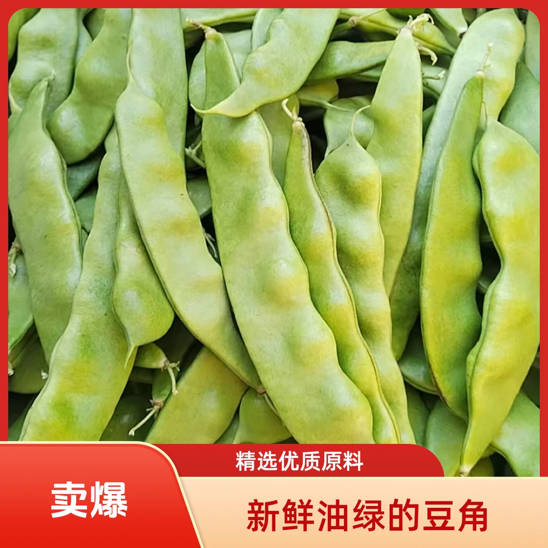 东北九月青油豆角新鲜时令蔬菜自然原味农家菜大小混装