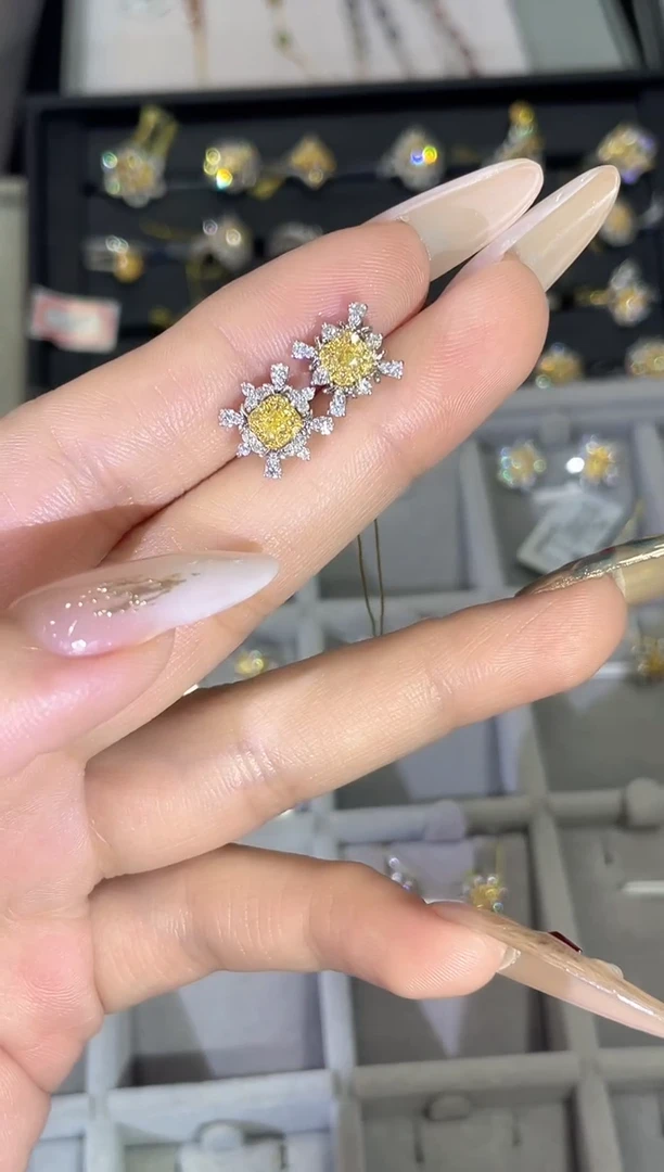 18K金镶嵌耳饰钻石HY