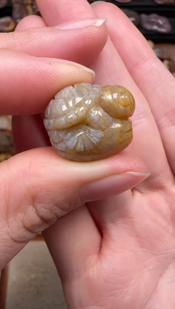 颈饰未镶嵌硅化珊瑚（珊瑚玉）740