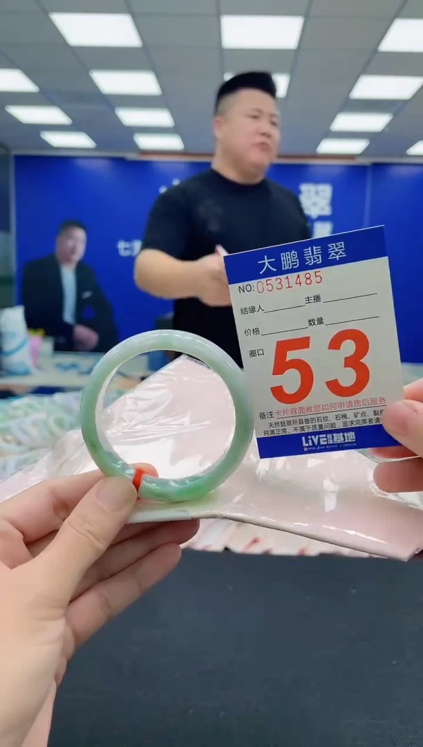 未镶嵌手镯翡翠AAAAAAAAA