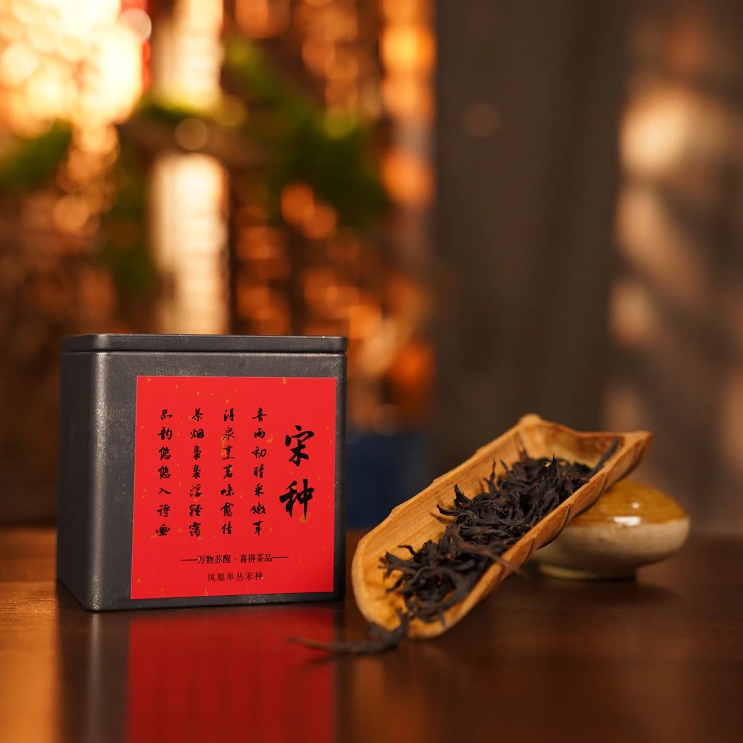 【宋种】凤凰单丛