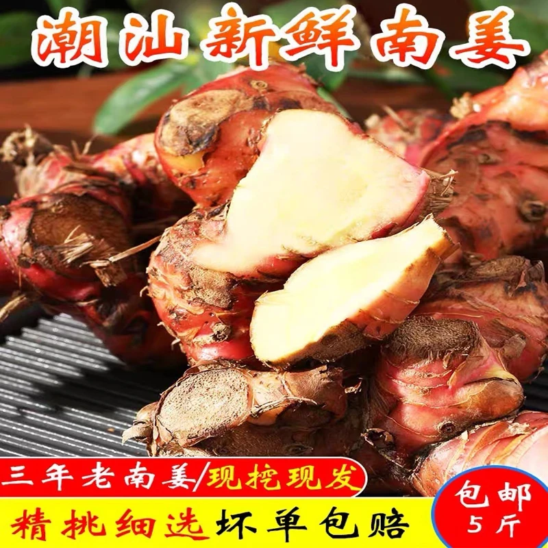 广东正宗潮汕新鲜红皮南姜山姜牛羊肉卤味去腥提味调料卤水伴侣