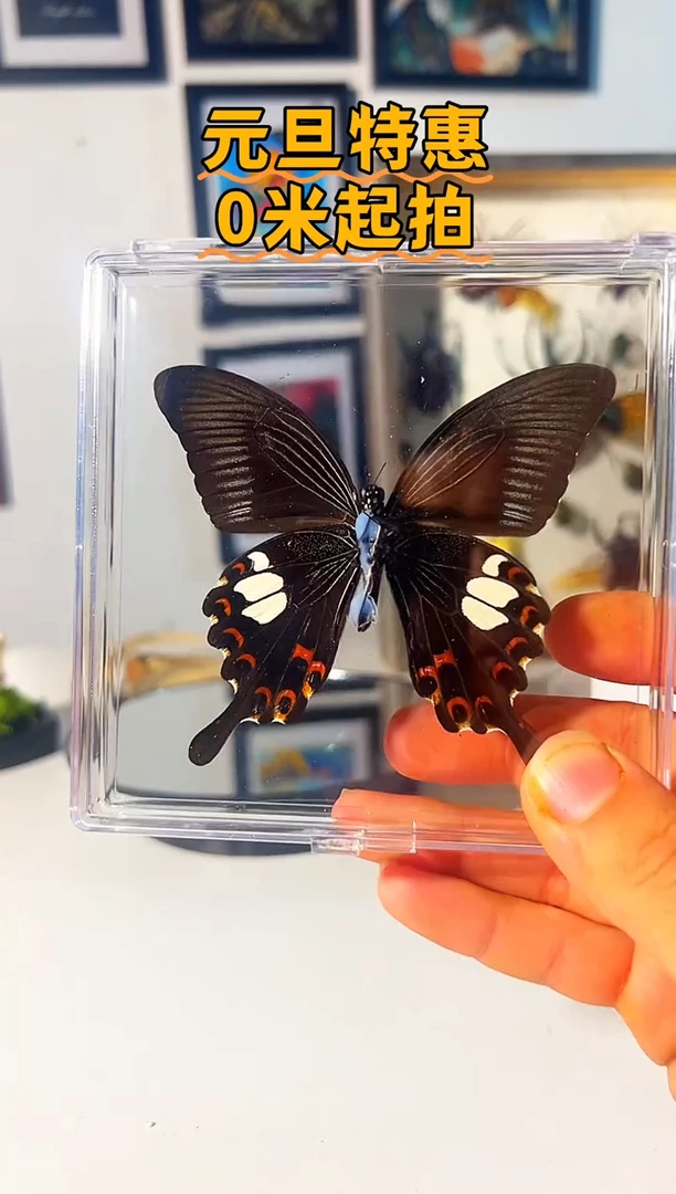 有机玻璃23468488