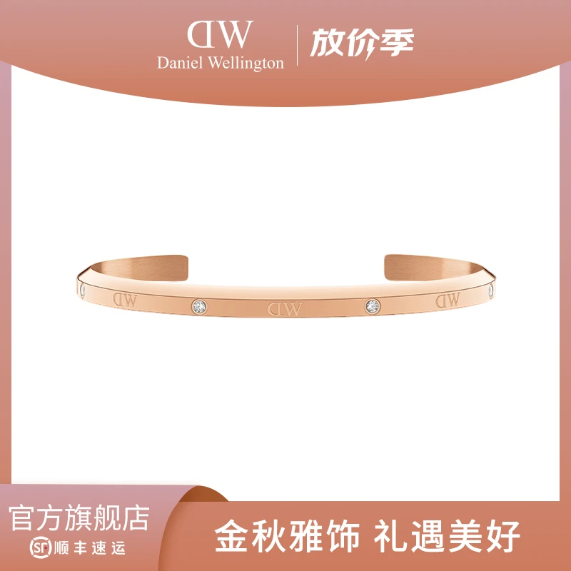 合金手镯 【秋上新】dw素款手镯星辰时尚网红百搭简约手环轻奢饰品