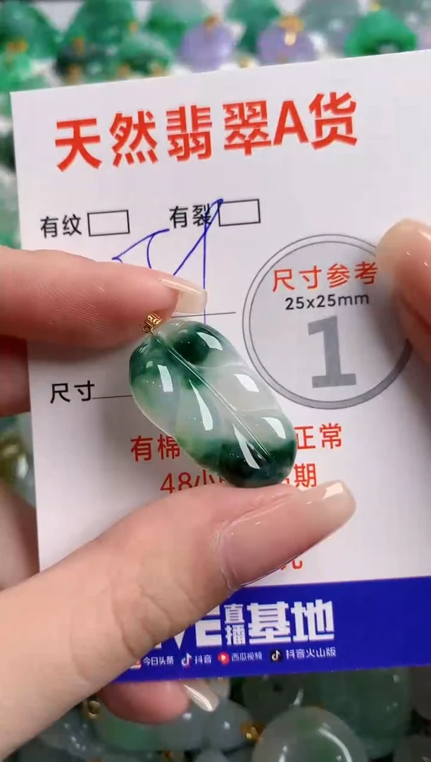 翡翠18K金镶嵌颈饰14007452