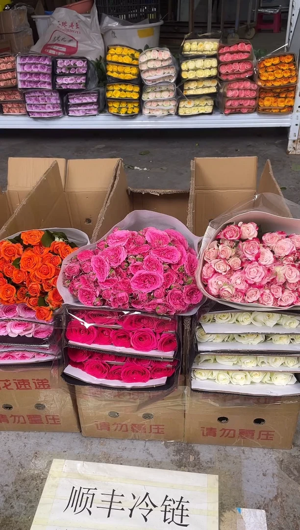 单头玫瑰20枝（任意色）+多头玫瑰10枝（任意色）