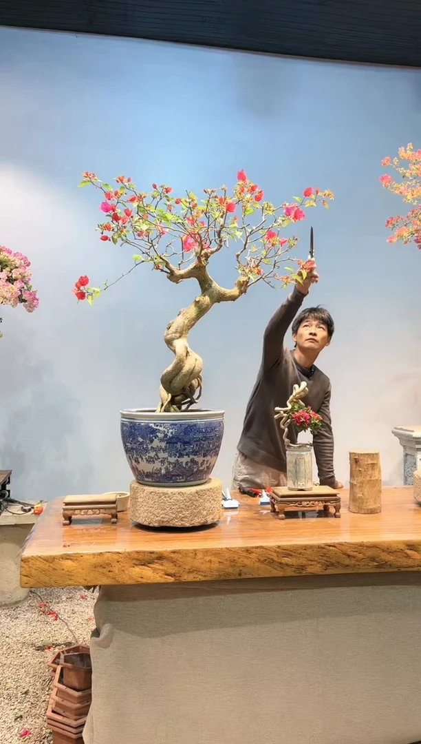 【闪购商品】AA913