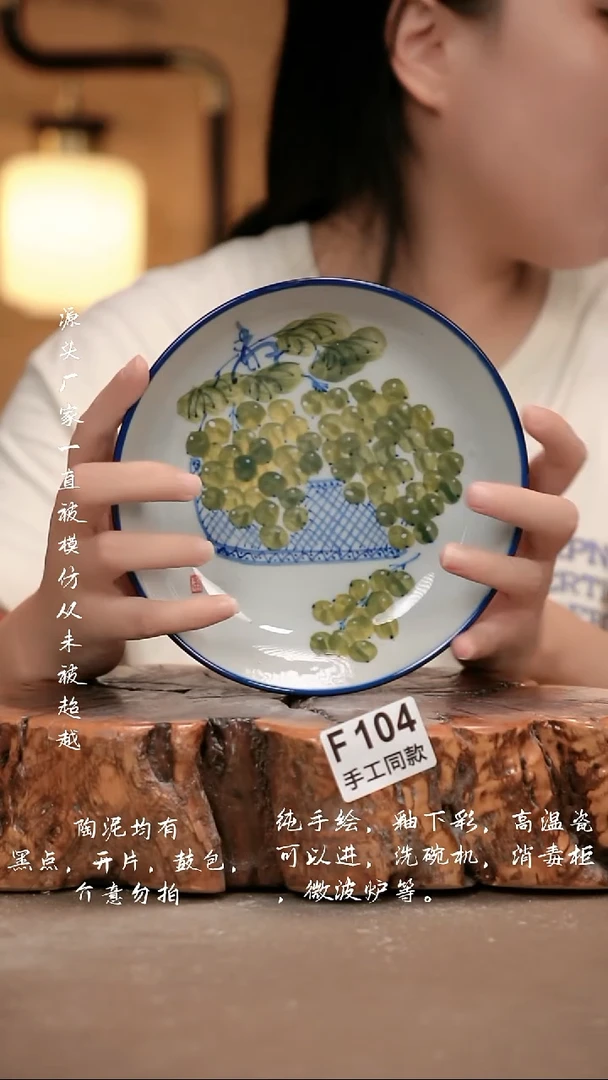 其他F104 新十二器