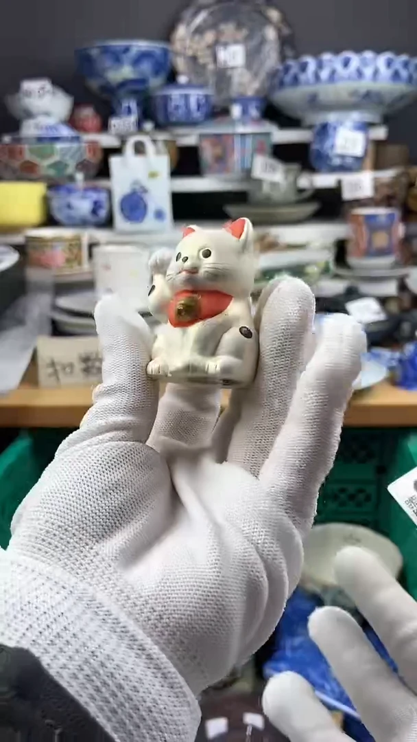 【闪购商品】感谢关注和支持感谢关注和支持973