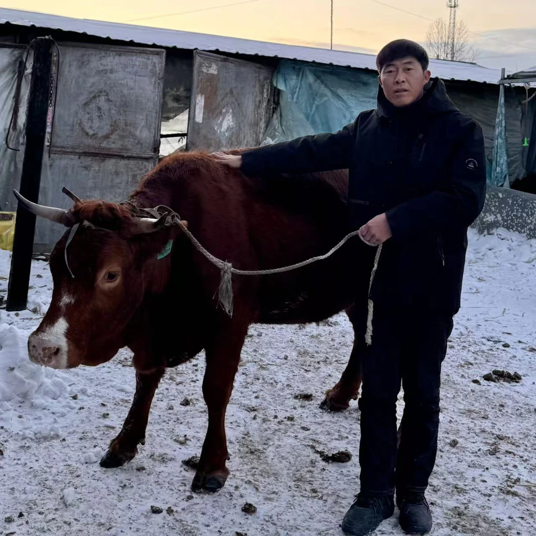 【现货牛肉】现货直接拍