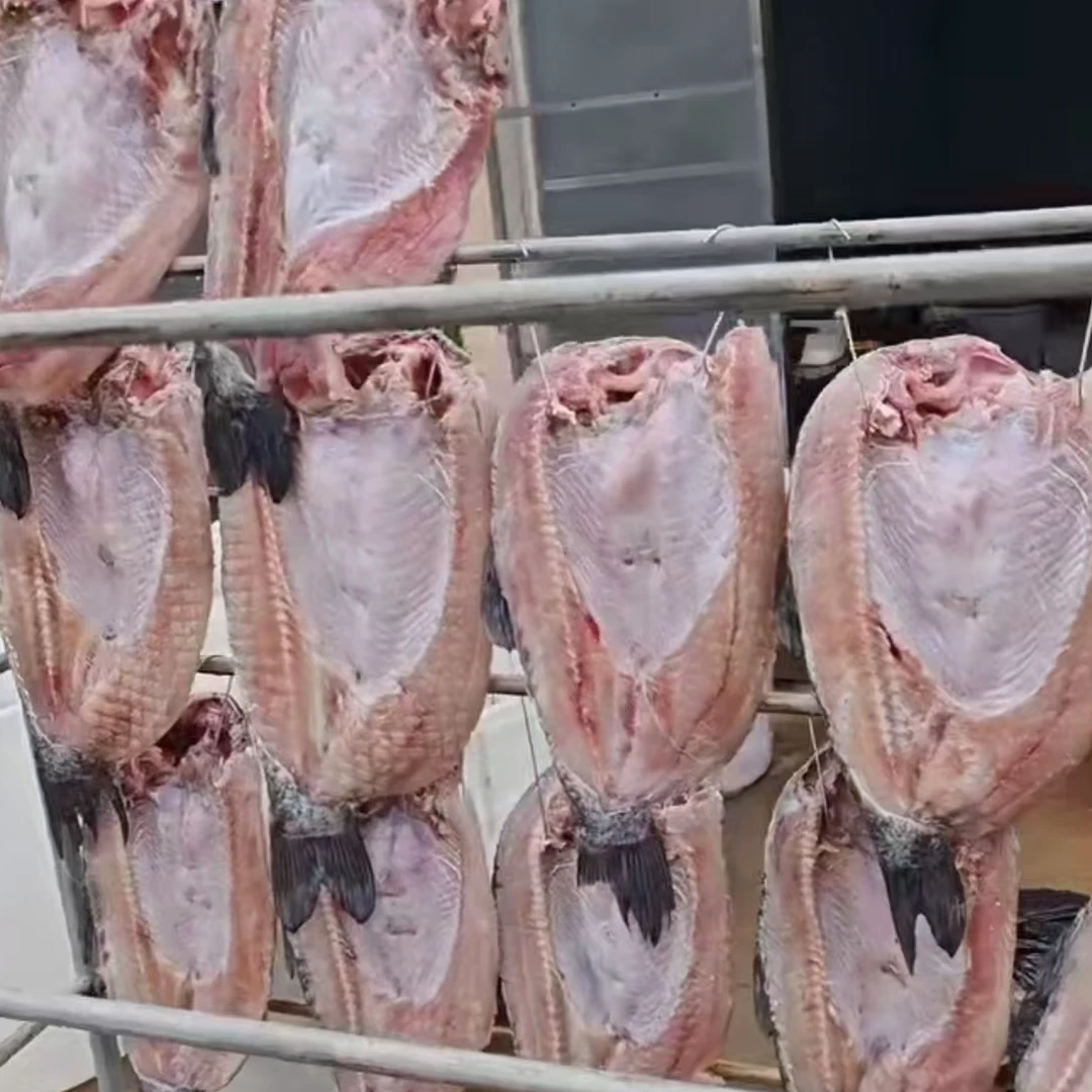 农家特产新鲜制作鱼