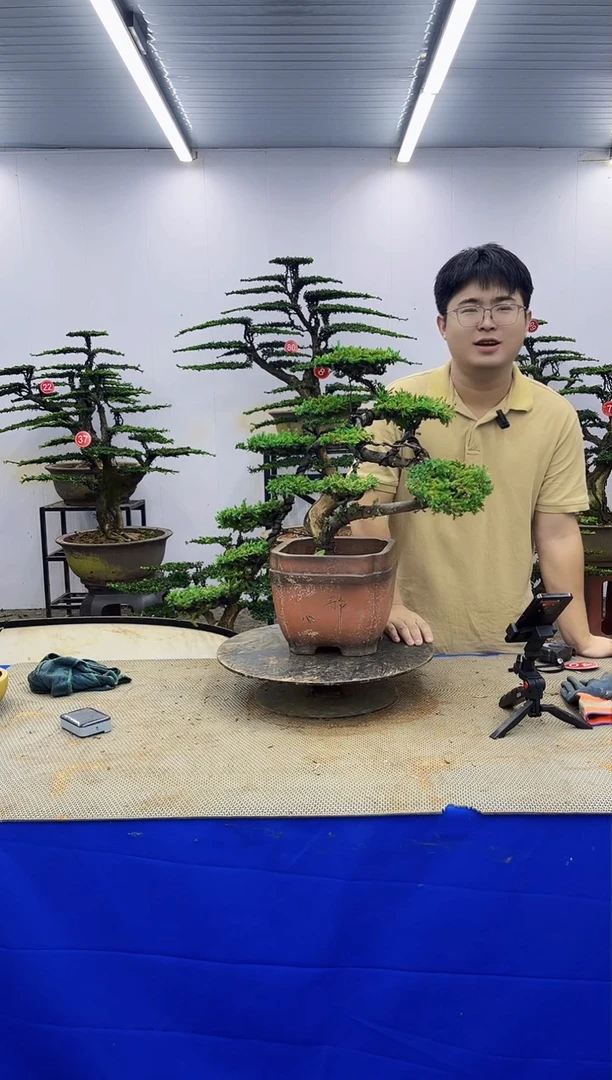 以实际为准一物一拍，所见即所得